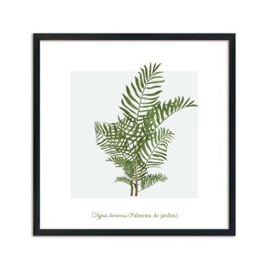 Quadro Decorativo de Folhagem Palmeira de jardim Q3173_1 Quadro Decorativo de Folhagem Palmeira de jardim Q3173_1