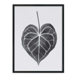 Quadro Decorativo Folha Costela de Adão Quadro Decorativo Folha Costela de Adão