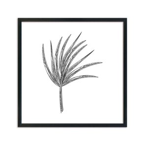 Quadro Decorativo Folha de Coqueiro Quadro Decorativo Folha de Coqueiro