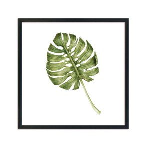 Quadro Decorativo folhagem Costela-de-Adão Q3182_1 Quadro Decorativo folhagem Costela-de-Adão Q3182_1