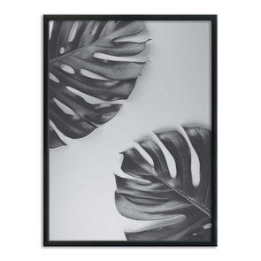 Quadro Decorativo Folhas Costela de Adão Quadro Decorativo Folhas Costela de Adão