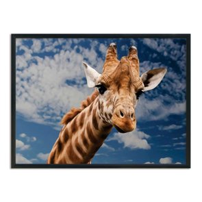 Quadro Decorativo Girafa Quadro Decorativo Girafa
