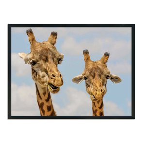 Quadro Decorativo Girafas Quadro Decorativo Girafas