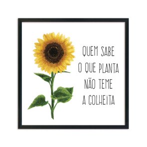 Quadro Decorativo Girasol Quem Sabe o que Planta Não teme a Colheita Quadro Decorativo Girasol Quem Sabe o que Planta Não teme a Colheita