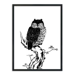 Quadro Decorativo Gravura de Uma Coruja Quadro Decorativo Gravura de Uma Coruja