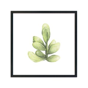 Quadro Decorativo Mini Suculenta Verde Watercolor Q3183_1 Quadro Decorativo Mini Suculenta Verde Watercolor Q3183_1