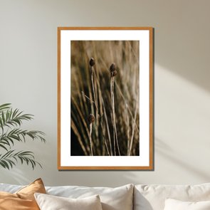 Quadro Decorativo Natureza Minimalista Plantas Secas Quadro Decorativo Natureza Minimalista Plantas Secas