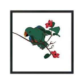 Quadro Decorativo Papagaio E Flores Quadro Decorativo Papagaio E Flores