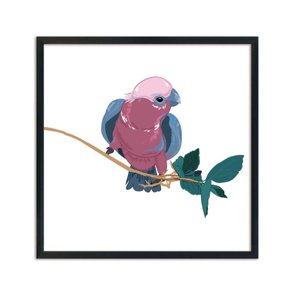 Quadro Decorativo Papagaio Rosa e Azul no Galho Q3179_1 Quadro Decorativo Papagaio Rosa e Azul no Galho Q3179_1