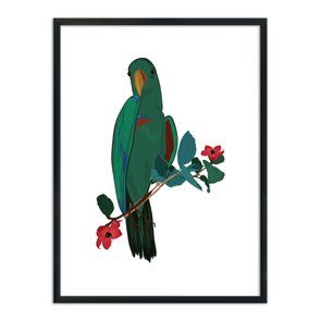 Quadro Decorativo Papagaio Verde Quadro Decorativo Papagaio Verde