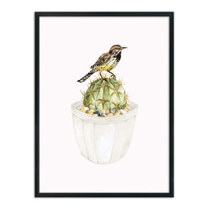 Quadro Decorativo Pássaro Sobre Cactus Quadro Decorativo Pássaro Sobre Cactus