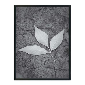 Quadro Decorativo Preto e Branco Folha ao Chão Quadro Decorativo Preto e Branco Folha ao Chão