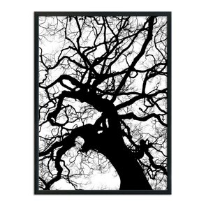 Quadro Decorativo Preto e Branco Galhos de Árvore Quadro Decorativo Preto e Branco Galhos de Árvore