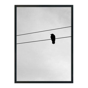 Quadro Decorativo Preto e Branco Pássaro em Fio Elétrico Quadro Decorativo Preto e Branco Pássaro em Fio Elétrico