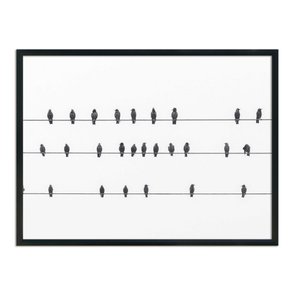 Quadro Decorativo Preto e Branco Pássaros em Fio Elétrico Quadro Decorativo Preto e Branco Pássaros em Fio Elétrico