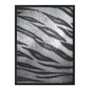 Quadro Decorativo Preto e Branco Pele de Tigre Quadro Decorativo Preto e Branco Pele de Tigre