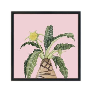 Quadro Decorativo Suculenta Folhas e Flor Fundo Rosa Q3190_1 Quadro Decorativo Suculenta Folhas e Flor Fundo Rosa Q3190_1