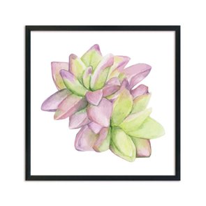 Quadro Decorativo Suculenta Mini Watercolor Q3185_1 Quadro Decorativo Suculenta Mini Watercolor Q3185_1