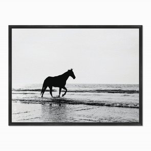Quadro em Tela Canvas Cavalo na Praia Quadro em Tela Canvas Cavalo na Praia