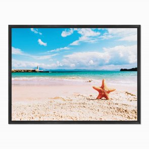 Quadro em Tela Canvas Estrela do Mar Quadro em Tela Canvas Estrela do Mar
