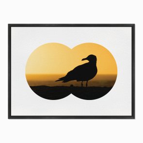 Quadro em Tela Canvas Gaivota Quadro em Tela Canvas Gaivota