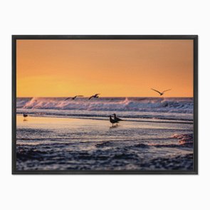 Quadro em Tela Canvas Pássaros a Beira Mar Quadro em Tela Canvas Pássaros a Beira Mar