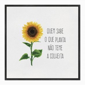Quadro em Tela Canvas Quem Sabe o Que Planta Não Teme a Colheita