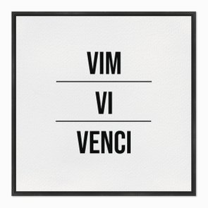Quadro em Tela Canvas Vim Vi Venci Quadro em Tela Canvas Vim Vi Venci