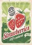 Placa Decorativa Vintage Strawberries 100% Natural