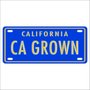 Placa Decorativa Vintage de Carro em Mdf - California CA Grown