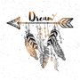 Placa Decorativa Penas e Flecha Frase: "Dream"