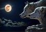 Placa Decorativa Lobos no Luar