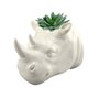 Vaso Cachepô Cerâmica de Parede Rinoceronte - URBAN