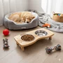 Comedouro Duplo Com Tigelas Em Inox Para Cachorro E Gato