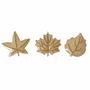 Conjunto 3 Ganchos Cabideiros Penduradores de Parede Folhas Outono em Madeira Pinus