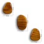 Conjunto 3 Ganchos Cabideiros Penduradores Dots Orgânicos De Madeira Pinus