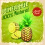Placa Decorativa Pineapple 100% Natural Always Fresh