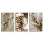 Kit 3 Placas Decorativas natureza Minimalista