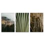 Kit 3 Placas Decorativas natureza Minimalista