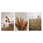 Kit 3 Placas Decorativas natureza Minimalista
