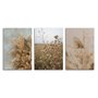Kit 3 Placas Decorativas natureza Minimalista