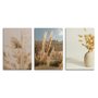 Kit 3 Placas Decorativas natureza Minimalista