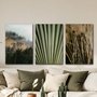 Kit 3 Placas Decorativas natureza Minimalista