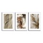 Kit 3 Quadros Decorativos Natureza Minimalista