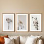 Kit 3 Quadros Decorativos Natureza Minimalista
