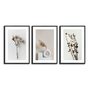 Kit 3 Quadros Decorativos Natureza Minimalista