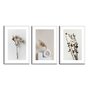 Kit 3 Quadros Decorativos Natureza Minimalista