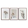 Kit 3 Quadros Decorativos Natureza Minimalista