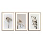 Kit 3 Quadros Decorativos Natureza Minimalista