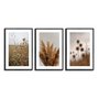 Kit 3 Quadros Decorativos Natureza Minimalista